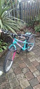 kids bike 20"