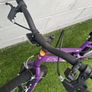 20" Envy Apollo Bike Image 2