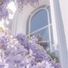 LavenderShop