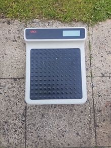 Seca scales
