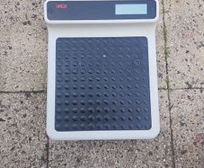 Seca scales