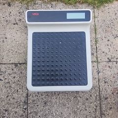 Seca scales