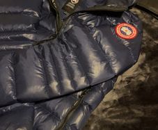 Canada Goose