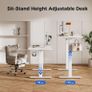 Electric Standing Desk, 120 x 60 cm Height Adjustable Image 7