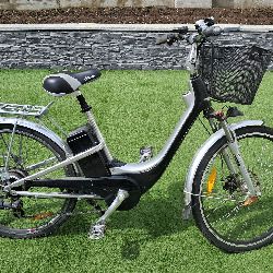 Ladies Electric Bicycle