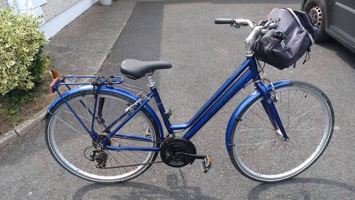 Raleigh Pioneer 1 ladies bike