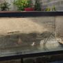 54L Glass Aquarium / Fish Tank with Black Lid & Sand Image 2