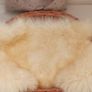 pet bed with sheepskin rug, made of wicker , Image 4