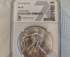 MS70 2019 American Silver Eagle 1oz coin