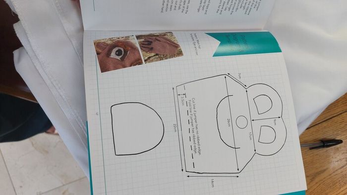 Animal hats pattern book