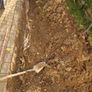 Free Topsoil Image 2