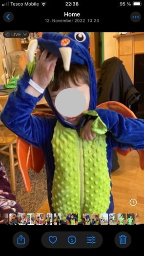 dragon dino costume
