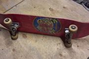 Jacuzzi Pilz Toadadelic Skateboard