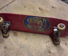 Jacuzzi Pilz Toadadelic Skateboard