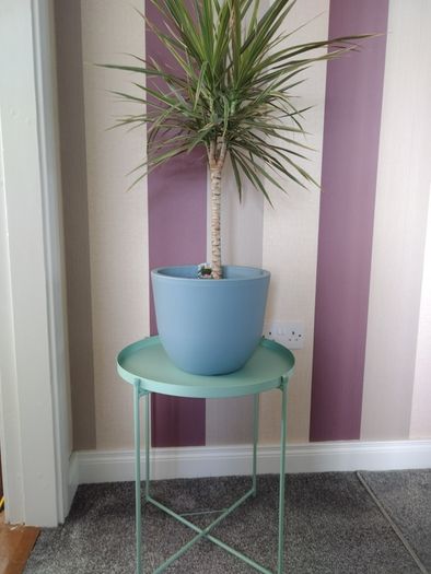 Mint Green Side Table/ Plant Stand