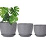 Large plastic plant pots Image 2