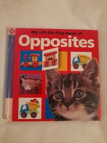 Children's book Opposites