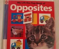 Children's book Opposites