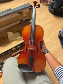 Violin