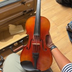 Violin