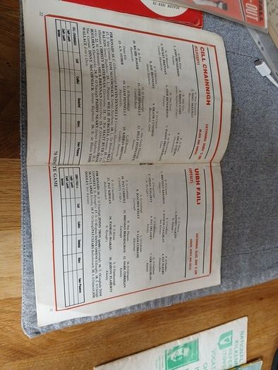 1982 Leinster Hurling final programme
