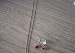 necklace  and earrings