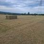 Large square bales of hay for sale Image 3