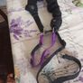 Dog harness Image 5