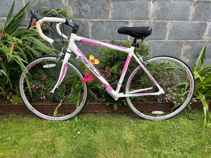 Castello Ladies Bike