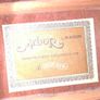 Vintage 80s Hohner/Arbor LW400N acoustic guitar Image 3