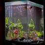 fish tank for sale Image 2