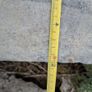 Concrete slats Image 3