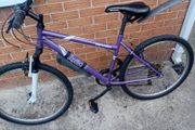 adults mountain bike