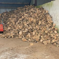 Firewood