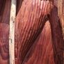 Japanese Mid Century Cedarwood Lucky God Deity(1.3kgs) Image 10