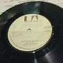 Don Mclean Image 2