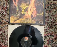 Echo And The Bunnymen: Crocodiles LP