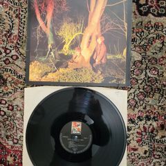 Echo And The Bunnymen: Crocodiles LP