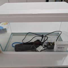fish tank