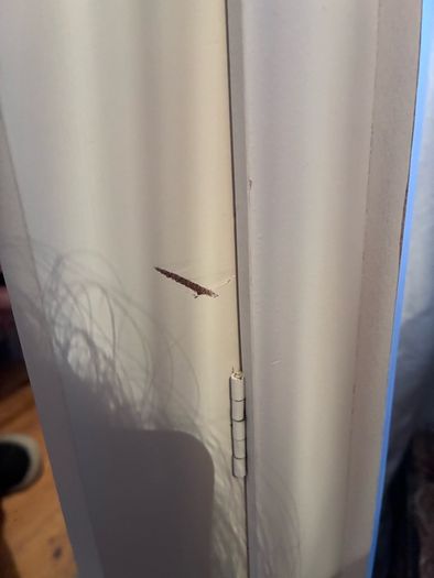 Laura Ashley French style wardrobe
