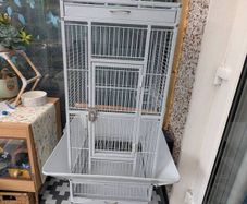 bird cage