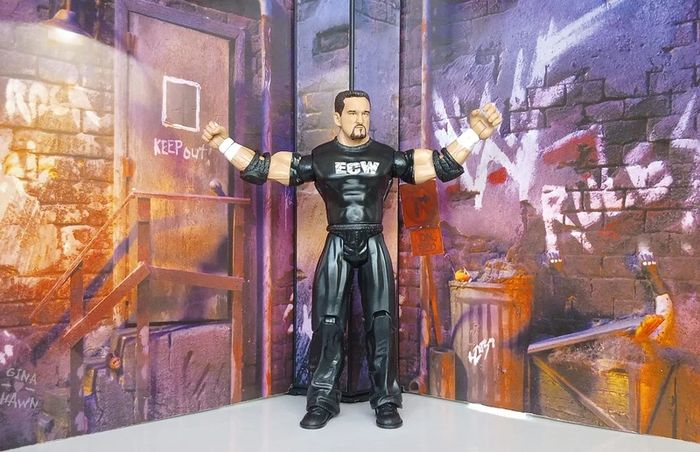 WWE Jakks Pacific Figures