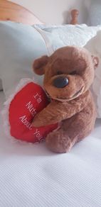 Teddy Bear Holding Love Heart