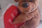 Teddy Bear Holding Love Heart