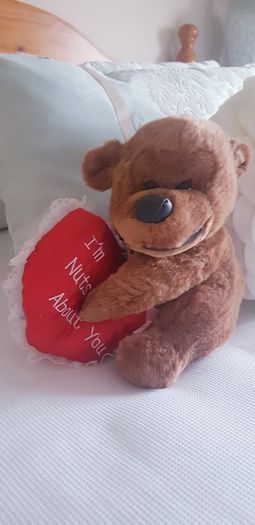 Teddy Bear Holding Love Heart