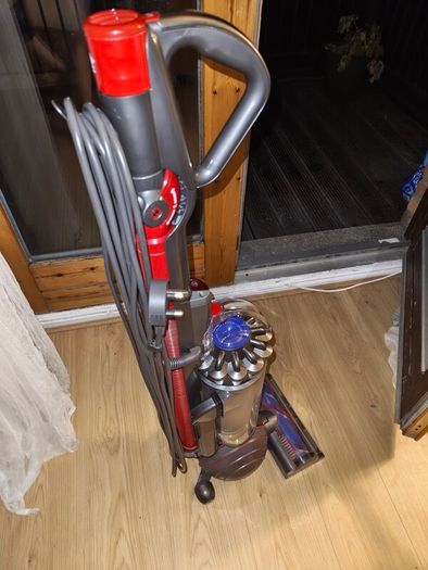 Dyson Ball Animal