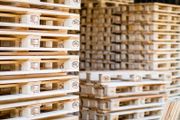 Brand New Stamped Euro Pallets