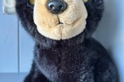 TY Bear Midnight