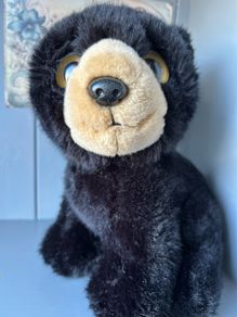 TY Bear Midnight