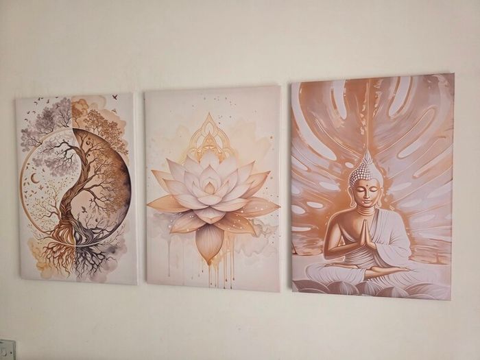3 framed canvas 45x65cm